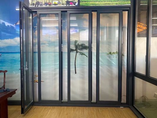 Odporność na tajfuny Wyrzeźbione szklane dwustronne drzwi wysokiej bezpieczeństwa Dostosowywalne