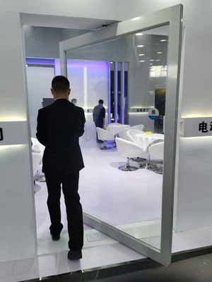 Drzwi z układu szczupłego aluminiowego z układem ozdobnym