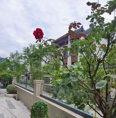 Elastyczna aluminiowa balustrada ze szkła bez ramki